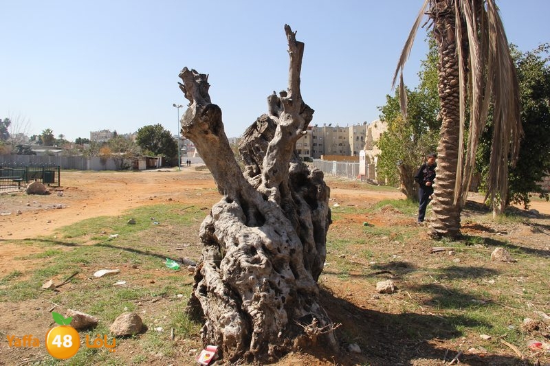 jom3a lud kabeer 0228 (47).JPG